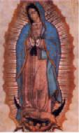 Guadalupe: depiction of the holy
                            Maria of Guadalupe