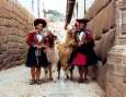 Lamas and farmers in Cusco