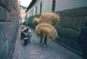 Cusco, hay transport on foot