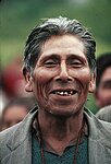 Distinctive Mapuche native