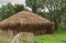 Original Mapuche house 02, round
                              house