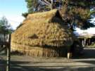 Original Mapuche house
                              "ruca"