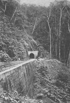 Tunneleingang
                                    im Mayombe-Gebirge