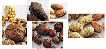 Nueces, nueces de brasil, almendras,
avellanas, maní Nueces,
nueces de brasil, almendras, avellanas, maní