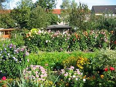 Farbiges
Leben regt den Geist an, z.B. mit einem
Garten mit Blumen Farbiges Leben regt den Geist an, z.B.
mit einem Garten mit Blumen