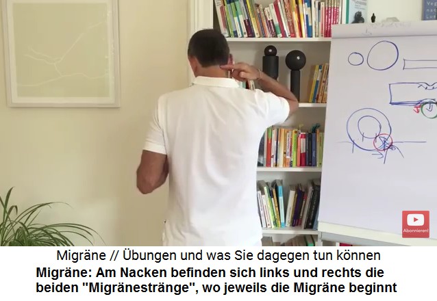 Liebscher-Bracht zeigt die
                    beiden Migrnestrnge am Nacken links und rechts
