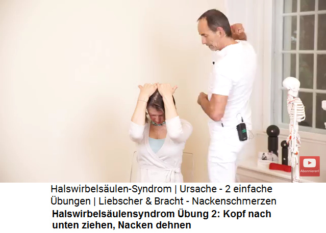 HWS-Syndrom bung 2: Kopf
                    nach unten ziehen, Rcken geradehalten und Nacken
                    dehnen