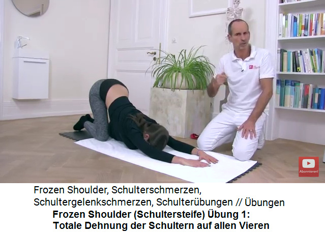 Liebscher bracht übungen knie