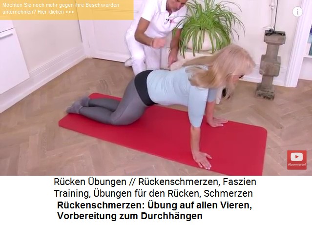 Rckenschmerzen-bung
                      1a: Auf allen vieren stehen und das Durchhngen
                      vorbereiten