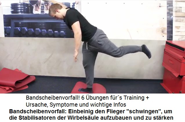 Mit "Fliegerschwingen" kann man
                      die Stabilisatoren der Wirbelsule aufbauen