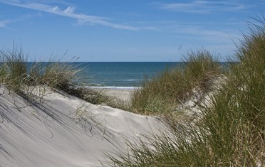 Eine
                      Dne an der Nordsee barfuss ablaufen