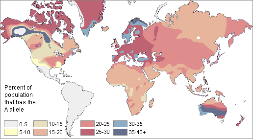 Map: blood group A
world wide of today Map: blood
group A world wide of today