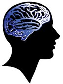 El
                      cerebro es ms fuerte con brax