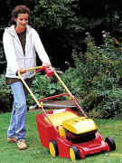 Rasenm�her mit
                            Normalbenzin ohne Katalysator verbreiten
                            Krebs