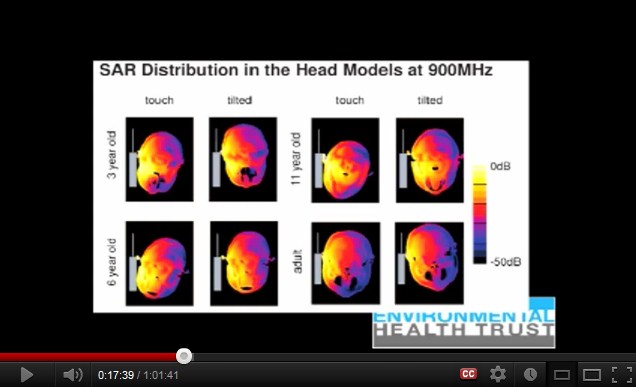 900 MHz:
                  Ein Handy verstrahlt den Kopf eines Kindes mehr als
                  beim Erwachsenen