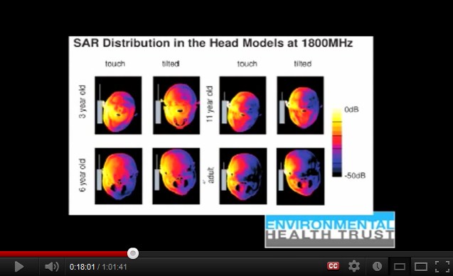 1800
                  MHz: Ein Handy verstrahlt den Kopf eines Kindes mehr
                  als beim Erwachsenen, aber insgesamt weniger als 900
                  MHz.
