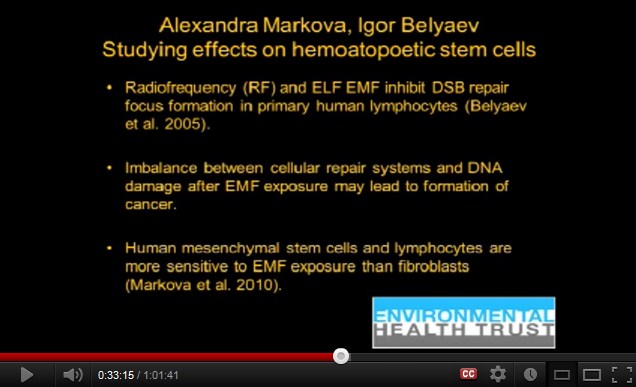 Kurzwellenfrequenzstrahlung zerst�rt den
                  Reparationsmechanismus der Zellen