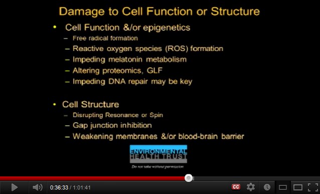 Die
                  Schadenliste durch Kurzwellenstrahlung