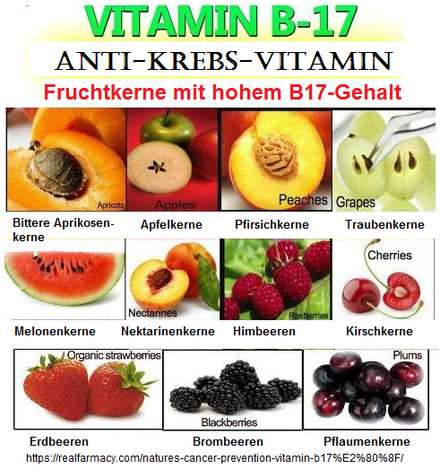 Kernobst mit Vitamin
                    B17 in den Kernen