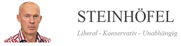 Steinhfel
                    online, Logo