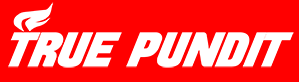 True Pundit online,
              Logo