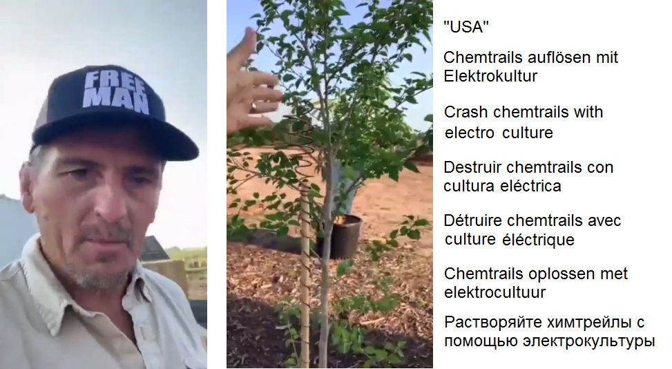 Interessante Beobachtung in den
                      "USA": Dieser Bauer stellt fest, dass
                      seine Elektrokultur (Spirale) die Chemtrails
                      zerstört. Interessante Beobachtung in den
                      "USA": Dieser Bauer stellt fest, dass
                      seine Elektrokultur (Spirale) die Chemtrails
                      zerstört.