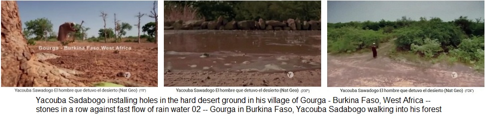 Overcome the time
                        bomb desertification: Yacouba Sadabogo
                        installing new forest with Zai technique (hole
                        with manure and compost, as well as stone rows)
                        in Gourga in Burkina Faso - Buy the film The Man
                        Who Stopped the Desert on DVD in GB online - is
                        good!