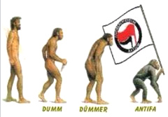 Dumm - dmmer - Antifa