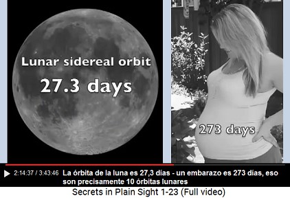 La rbita de la luna es 27,3 das - un
                        embarazo es 273 das, eso son precisamente 10
                        rbitas lunares