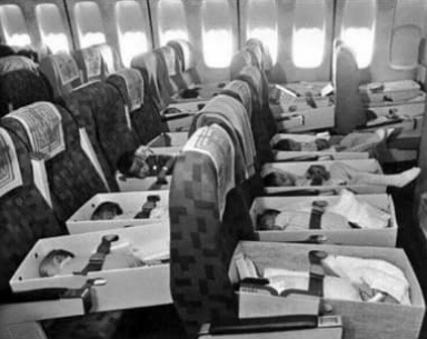 Babys aus Vietnam in einem Flugzeug 1975, das
                      die Babys in die "USA" fliegt