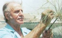 Dr. Hassan Ragab mit Papyrus,
1995 ca. Dr. Hassan Ragab mit Papyrus,
1995 ca.