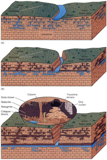 Scheme 13: Sinking river is
                                    "trenching itself"
                                    provoking a sinking groundwater
                                    level
