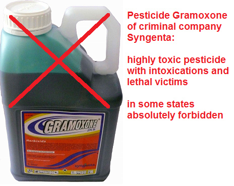 Absolutely toxic pesticide
                                  "Gramoxone" of criminal
                                  Swiss company "Syngenta"
                                  from criminal Switzerland