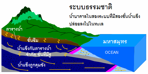 โครงการที่มีน้ำเค็มและน้ำ บาดาล 2
                          กับระบบน้ำบาดาลเป็นสองเท่าและทั้งสองจะถูกดูดลงไปในมหาสมุทร