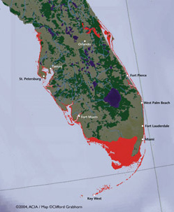 Florida loosing territories with a rise
                            of sea level by 1 m