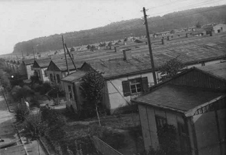 DP-Lager
                    Ziegenhain südlich von Bonn 1946-1947
