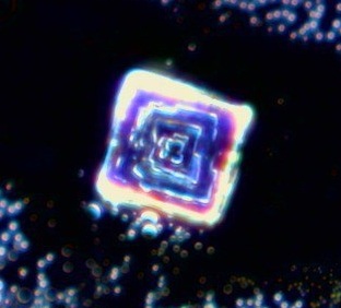 23.5.2025: Nanochip vom Zahnarzt 01