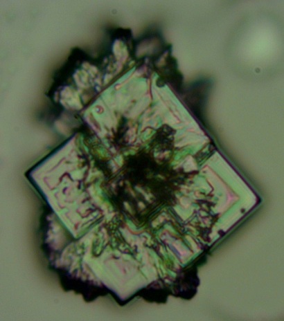 23.5.2025: Nanochip vom Zahnarzt 03